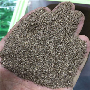 Best price Hulled pure bermuda grass seeds from China factory 