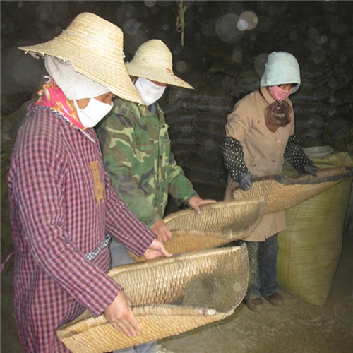 Chinese raw stevia seeds for planting 