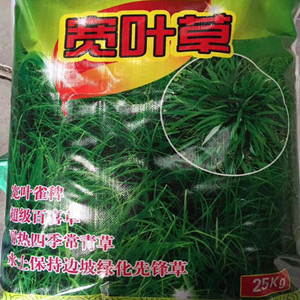 Factory supply High quality Bahiagrass seeds for planting 