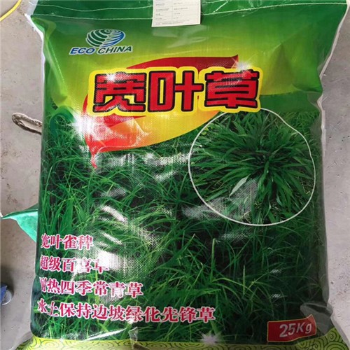 Factory supply High quality Bahiagrass seeds for planting 