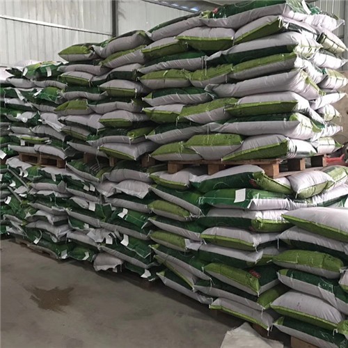 Factory supply High quality Paspalum notatum seeds and Bahiagrass seeds for planting 