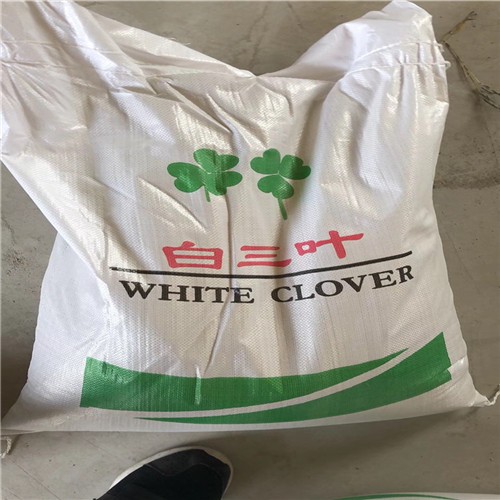 High quality forage grass white clover seeds for growing  