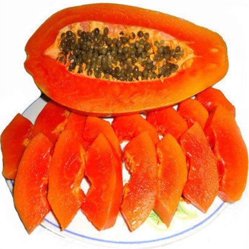 Taiwan hybrid red lady papaya seeds for growing 